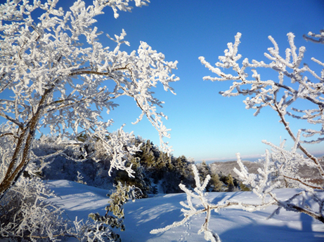 Galaverna sull''Appennino ligure piemontese